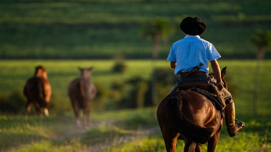 Saddle Up: Best Dude Ranches in Texas Hill Country for an Authentic Experience - Hill Country Chocolate