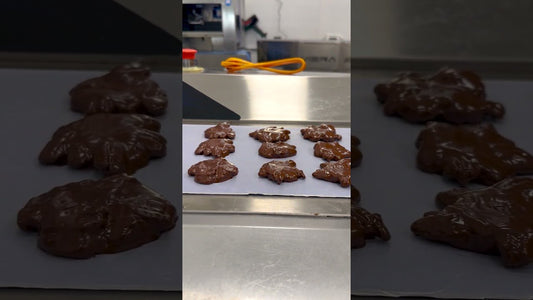 Chocolate Enrobing Explained: How Perfect Shells Are Made - Hill Country Chocolate