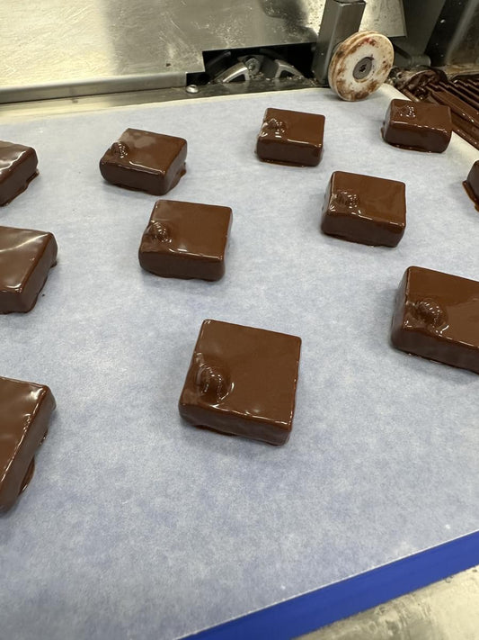 Uncovering the Secrets of Chocolate Praliné and Gianduja - Hill Country Chocolate