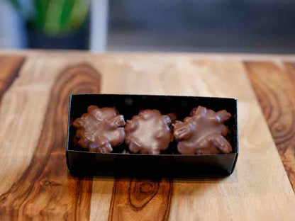 Dark Chocolate Caramel Pecan Clusters - Hill Country Chocolate